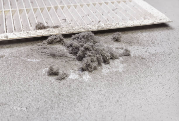 Best Residential Air Duct Cleaning  in Lorado City, CO