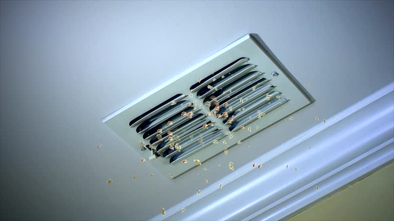 Best HVAC Air Duct Cleaning  in Lorado City, CO