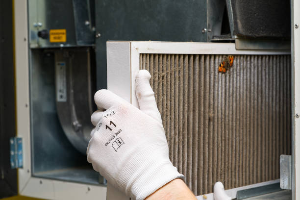 Best Air Duct Cleaning Near Me  in Lorado City, CO